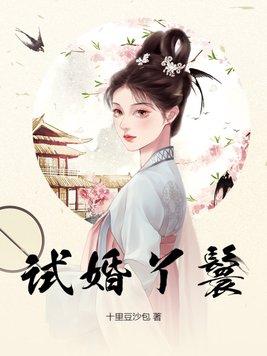 試婚丫鬟江書