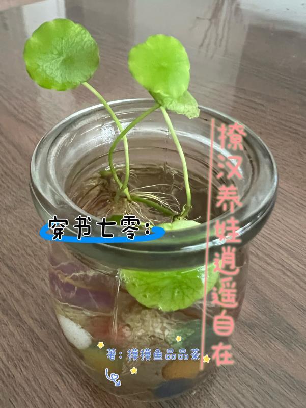 穿書七零撩漢養娃逍遙自在 作者摸摸魚品品茶