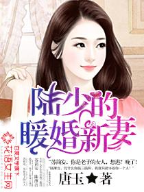 陸少的暖婚新妻多少字