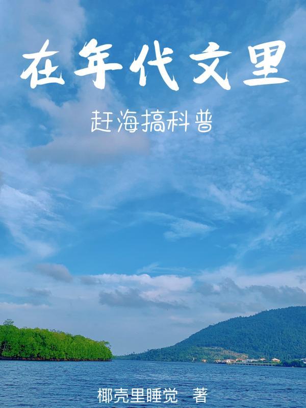 年代文在海邊