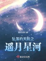 墜落的天階之遙月星河